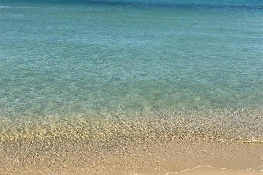 2 Bedrooms, 15 Min Walk To Beach, Ac, Pool & Fiber Internet In A Quiet, Private Gated Domain 5Kms To St Tropez Коголен Екстер'єр фото