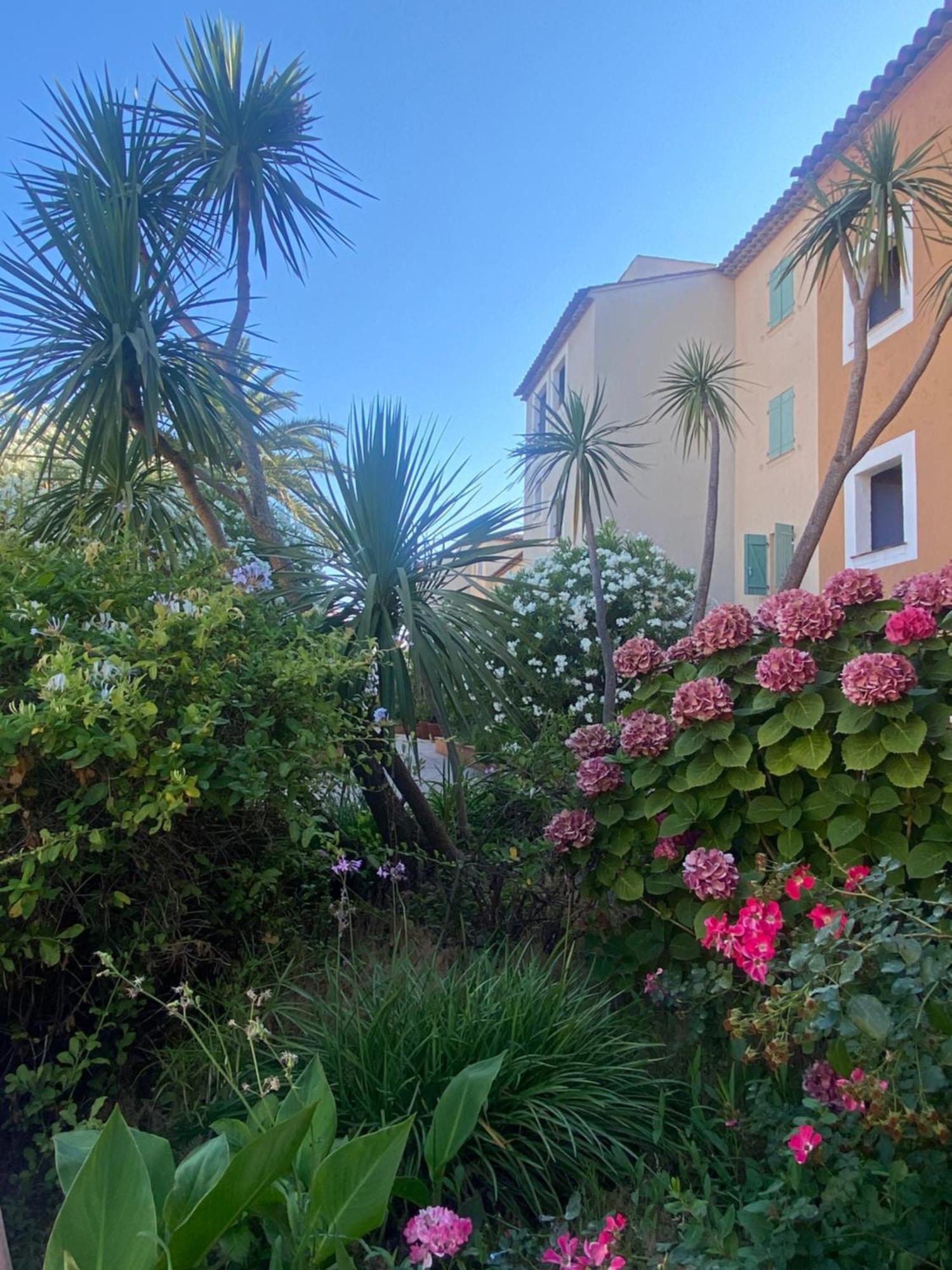 2 Bedrooms, 15 Min Walk To Beach, Ac, Pool & Fiber Internet In A Quiet, Private Gated Domain 5Kms To St Tropez Коголен Екстер'єр фото