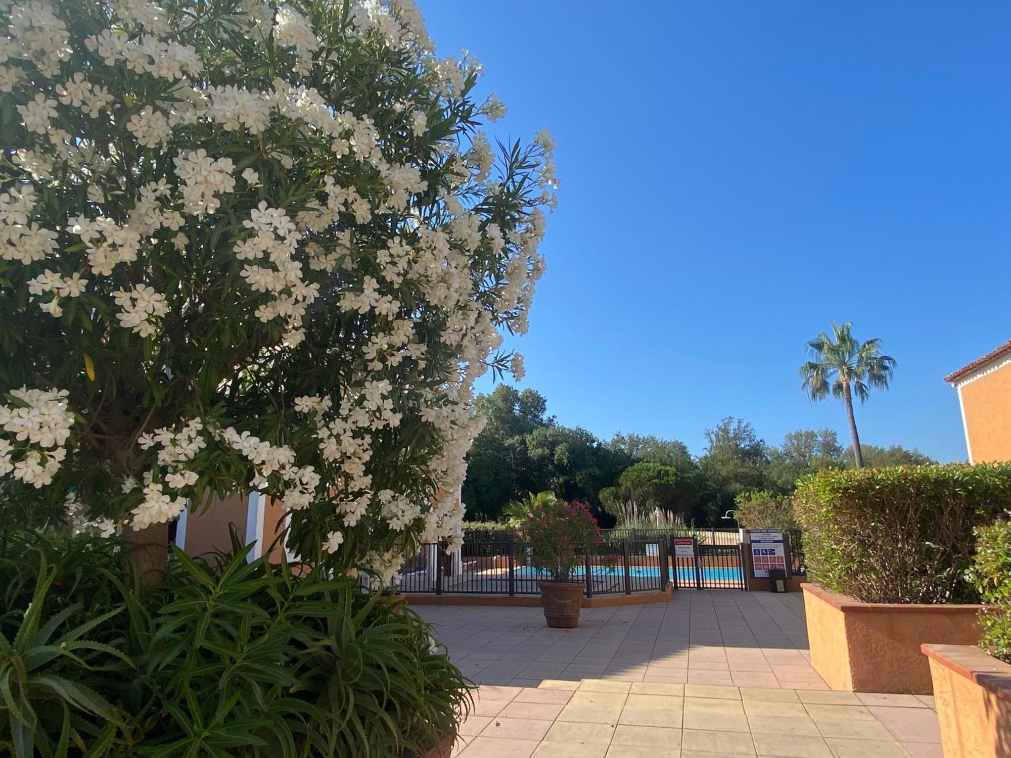 2 Bedrooms, 15 Min Walk To Beach, Ac, Pool & Fiber Internet In A Quiet, Private Gated Domain 5Kms To St Tropez Коголен Екстер'єр фото